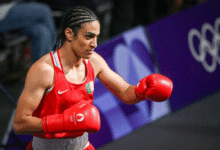 sffareboxing schedules by sportsfanfare