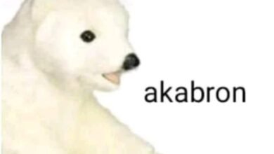 akabron meme